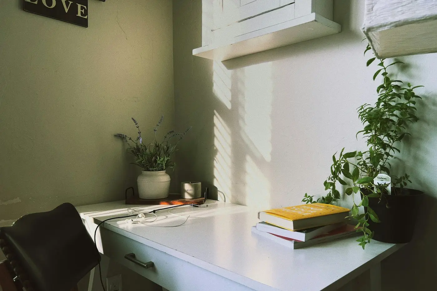 A tidy desk with a plant and a book